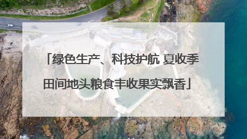 绿色生产、科技护航 夏收季田间地头粮食丰收果实飘香