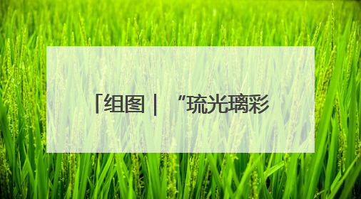 组图｜“琉光璃彩—淄博琉璃艺术展”今日国博启幕 千年窑火绽放京城