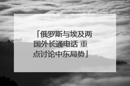 俄罗斯与埃及两国外长通电话 重点讨论中东局势