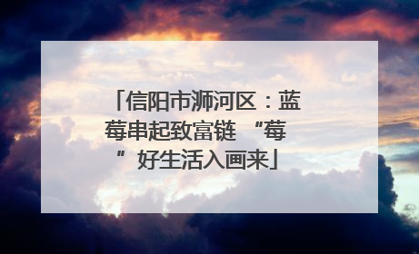 信阳市浉河区：蓝莓串起致富链 “莓”好生活入画来