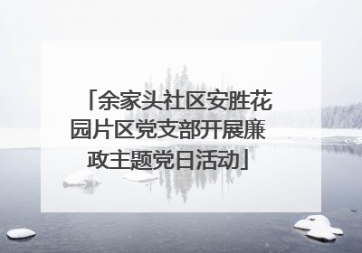 余家头社区安胜花园片区党支部开展廉政主题党日活动