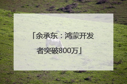 余承东：鸿蒙开发者突破800万