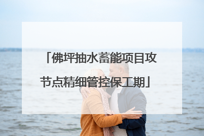 佛坪抽水蓄能项目攻节点精细管控保工期