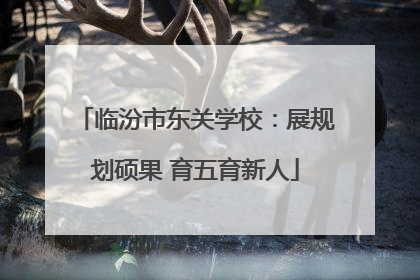 临汾市东关学校：展规划硕果 育五育新人