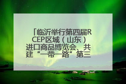 临沂举行第四届RCEP区域（山东）进口商品博览会、共建“一带一路”第三届临沂商城国际采购商大会新闻发布会