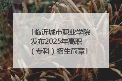 临沂城市职业学院发布2025年高职（专科）招生简章