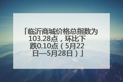 临沂商城价格总指数为103.28点，环比下跌0.10点（5月22日—5月28日）