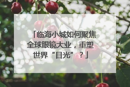 临海小城如何聚焦全球眼镜大业，重塑世界“目光”？
