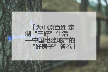 为中原百姓 定制“三好”生活——中国电建地产的“好房子”答卷