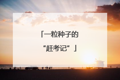 一粒种子的“赶考记”