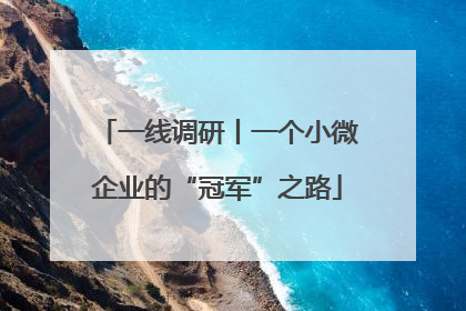 一线调研丨一个小微企业的“冠军”之路