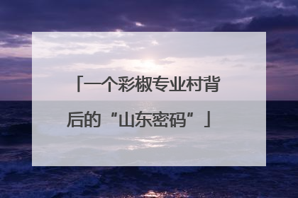 一个彩椒专业村背后的“山东密码”