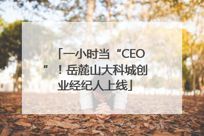 一小时当“CEO”！岳麓山大科城创业经纪人上线