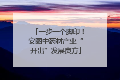 一步一个脚印！安图中药材产业“开出”发展良方