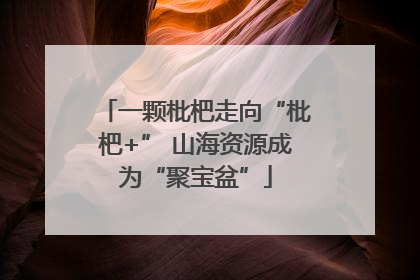 一颗枇杷走向“枇杷+” 山海资源成为“聚宝盆”