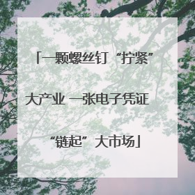 一颗螺丝钉“拧紧”大产业 一张电子凭证“链起”大市场