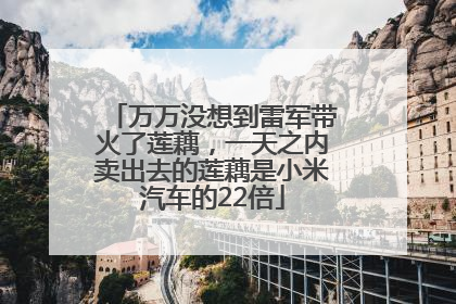 万万没想到雷军带火了莲藕，一天之内卖出去的莲藕是小米汽车的22倍