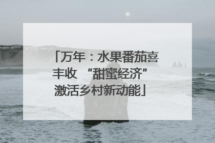 万年：水果番茄喜丰收 “甜蜜经济”激活乡村新动能