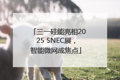 三一硅能亮相2025 SNEC展，智能微网成焦点