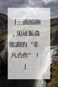 三面锦旗，见证振森能源的“非凡合作”！