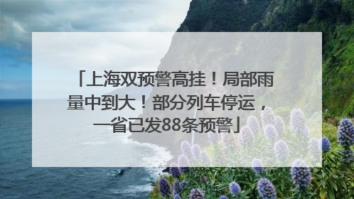 上海双预警高挂！局部雨量中到大！部分列车停运，一省已发88条预警