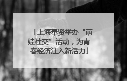 上海奉贤举办“萌娃社交”活动，为青春经济注入新活力
