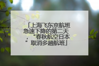 上海飞东京航班急速下降的第二天，“春秋航空日本”取消多趟航班