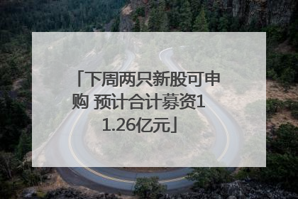 下周两只新股可申购 预计合计募资11.26亿元