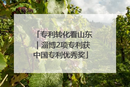 专利转化看山东｜淄博2项专利获中国专利优秀奖