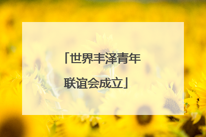 世界丰泽青年联谊会成立