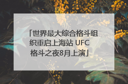 世界最大综合格斗组织重启上海站 UFC格斗之夜8月上演