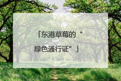 东港草莓的“绿色通行证”