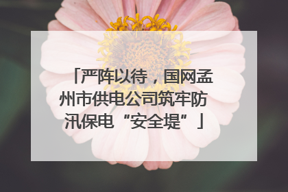 严阵以待，国网孟州市供电公司筑牢防汛保电“安全堤”
