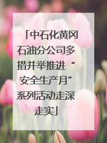 中石化黄冈石油分公司多措并举推进“安全生产月”系列活动走深走实