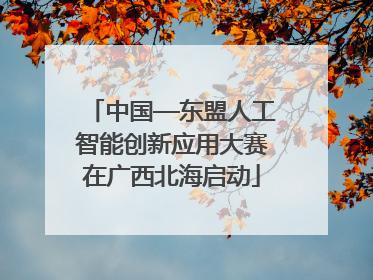 中国—东盟人工智能创新应用大赛在广西北海启动
