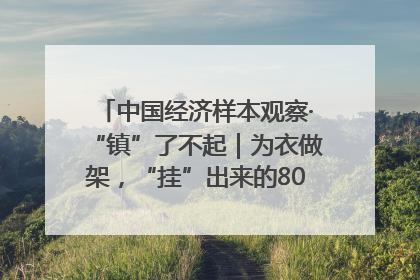 中国经济样本观察·“镇”了不起｜为衣做架，“挂”出来的80亿元“衣架产业”