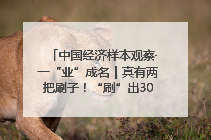 中国经济样本观察·一“业”成名｜真有两把刷子！“刷”出30亿级“颜值经济”