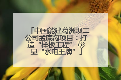 中国能建葛洲坝二公司孟底沟项目：打造“样板工程” 彰显“水电王牌”