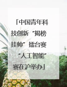 中国青年科技创新“揭榜挂帅”擂台赛“人工智能”赛在沪举办