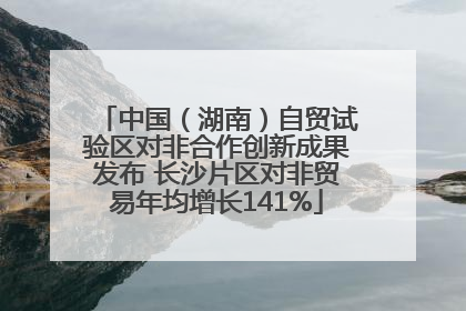 中国（湖南）自贸试验区对非合作创新成果发布 长沙片区对非贸易年均增长141%