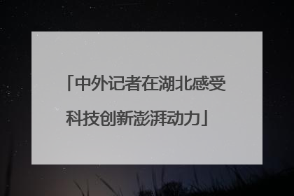中外记者在湖北感受科技创新澎湃动力
