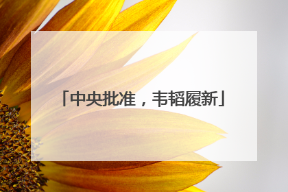 中央批准，韦韬履新
