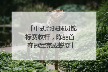 中式台球球员锦标赛收杆，陈喆首夺冠军完成蜕变