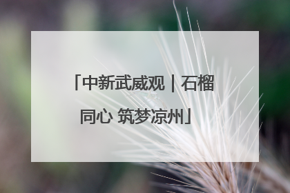 中新武威观｜石榴同心 筑梦凉州