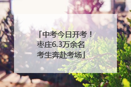 中考今日开考！枣庄6.3万余名考生奔赴考场