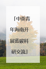 中英青年海南开展蓝碳科研交流