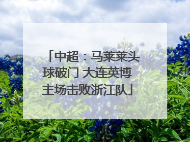 中超：马莱莱头球破门 大连英博主场击败浙江队