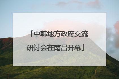 中韩地方政府交流研讨会在南昌开幕