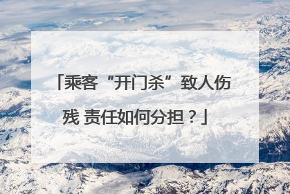 乘客“开门杀”致人伤残 责任如何分担？
