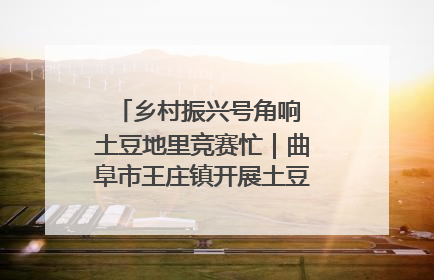 乡村振兴号角响 土豆地里竞赛忙｜曲阜市王庄镇开展土豆收获劳动竞赛